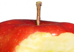 Gestört von Gott