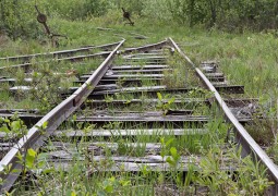 Endstation: Friedhof ?!