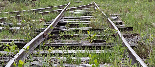 Endstation: Friedhof ?!